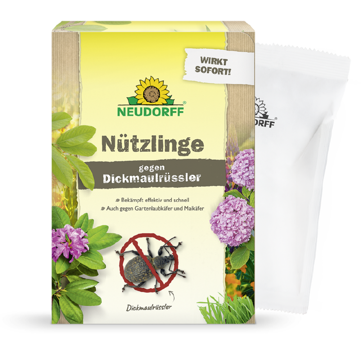 NEUDORFF Bestell-Karte Nützlinge gegen Dickmaulrüssler